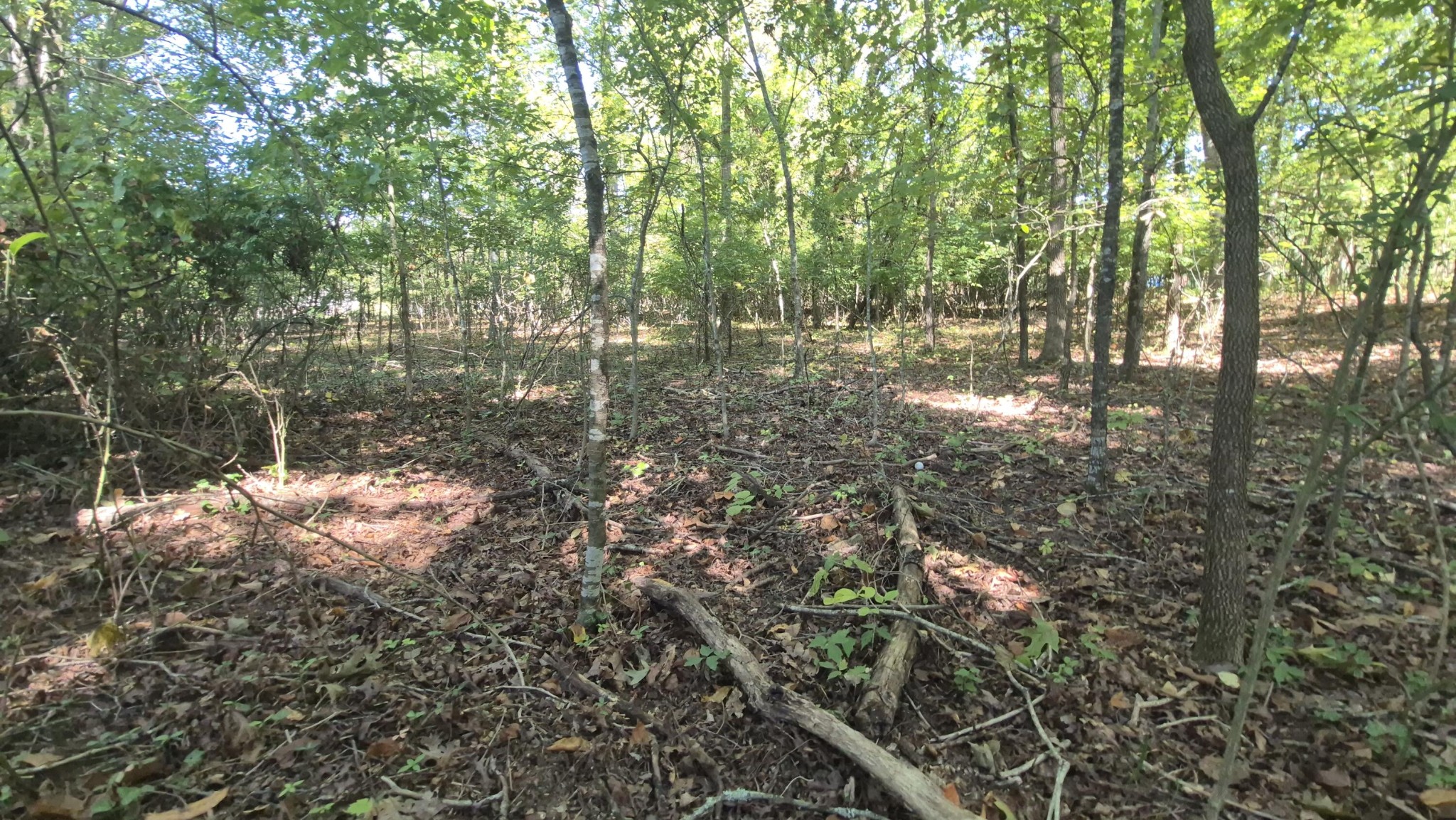 0 Spring Street Monteagle TN 37356