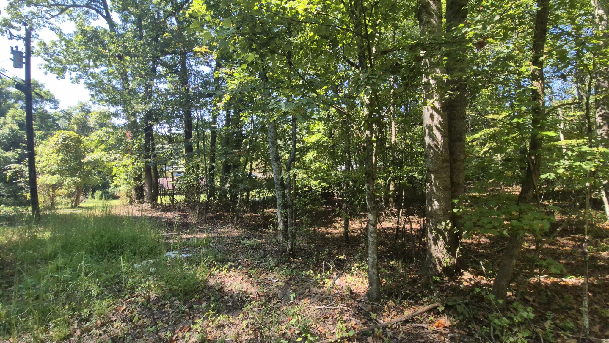 0 Spring Street Monteagle TN 37356