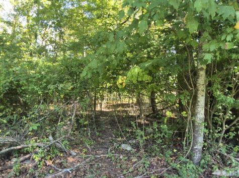 0 Spring Street Monteagle TN 37356