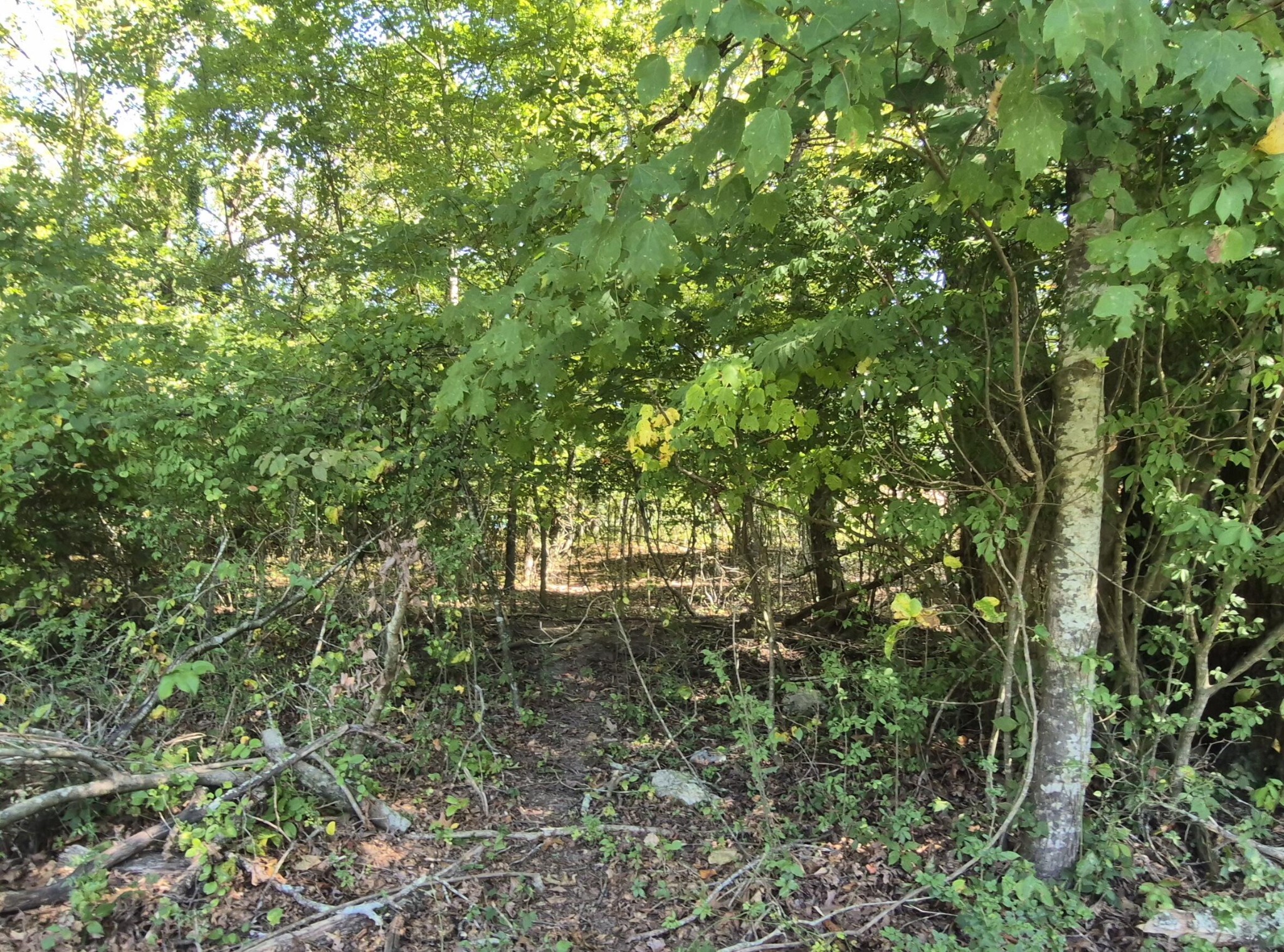 0 Spring Street Monteagle TN 37356