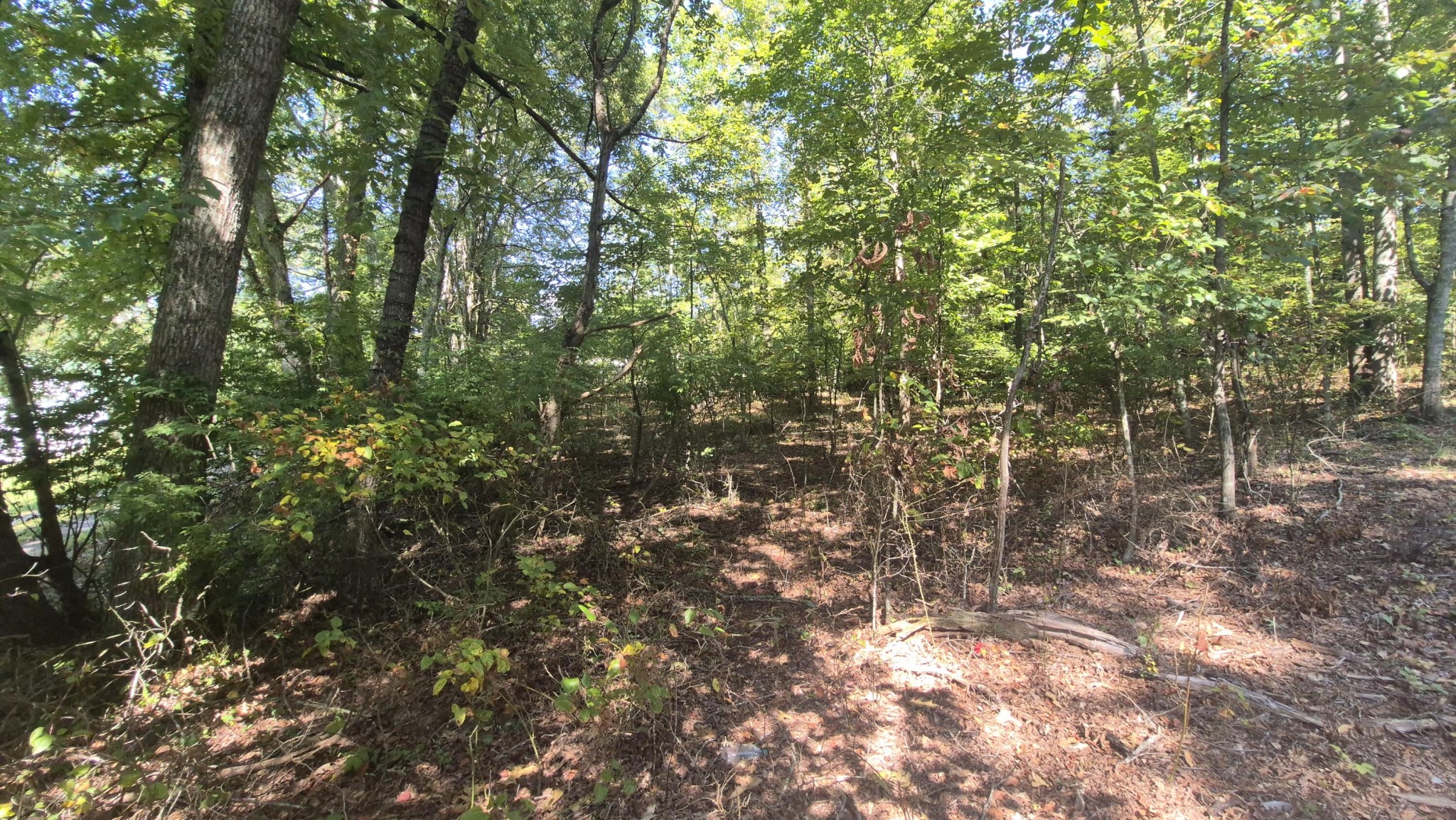 0 Spring Street Monteagle TN 37356