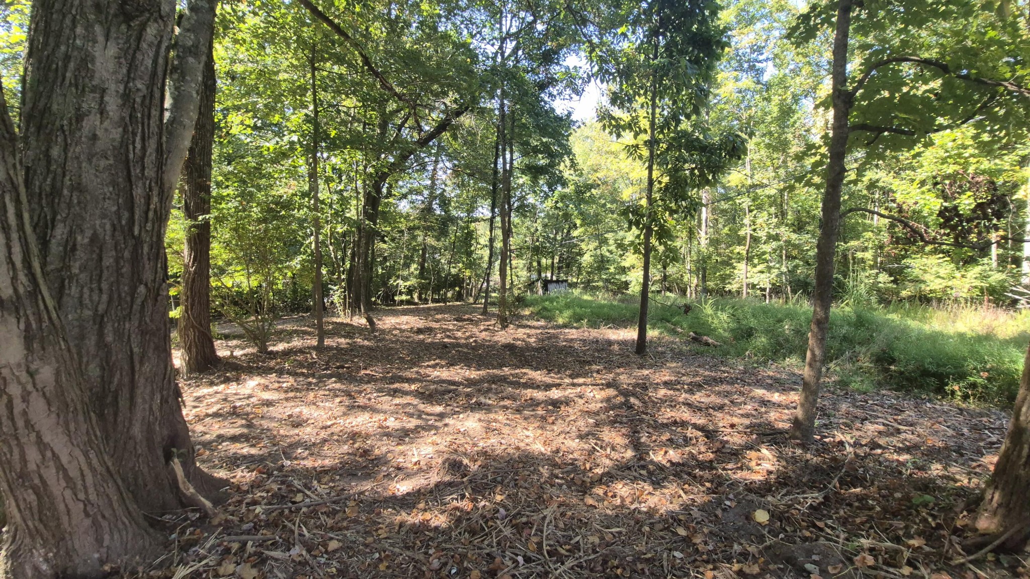 0 Spring Street Monteagle TN 37356