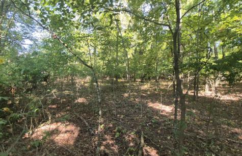 0 Spring Street Monteagle TN 37356