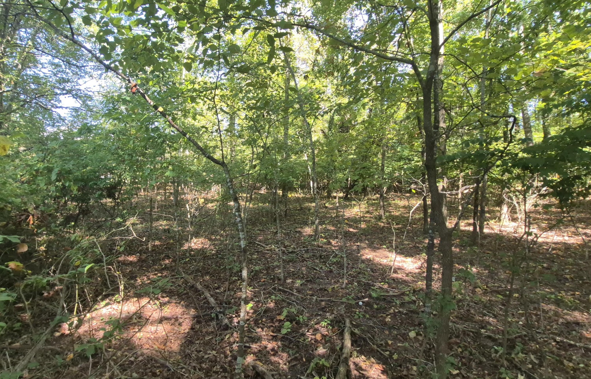 0 Spring Street Monteagle TN 37356