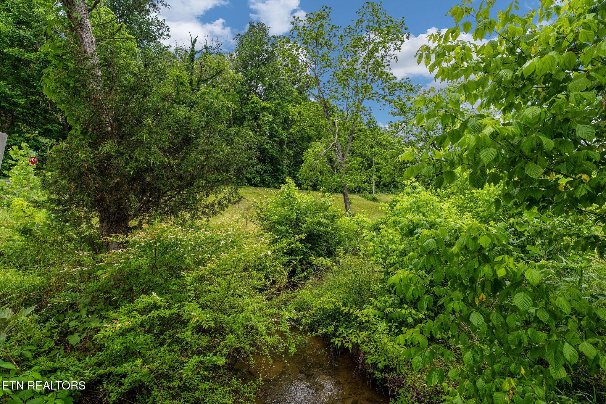 630 Briar Patch Lane Greeneville TN 37745