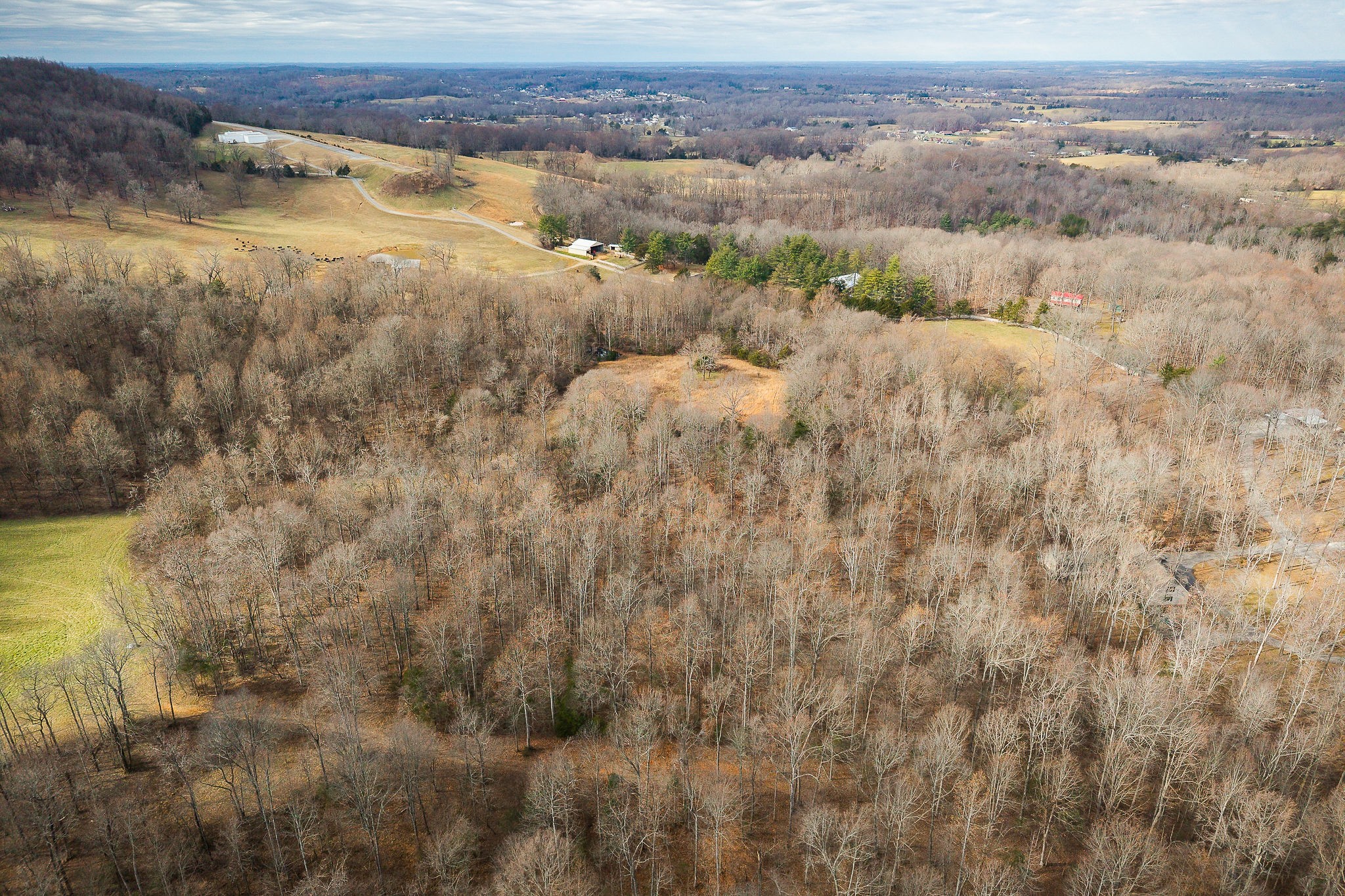 4898 Forrest Hill Road Cookeville TN 38506