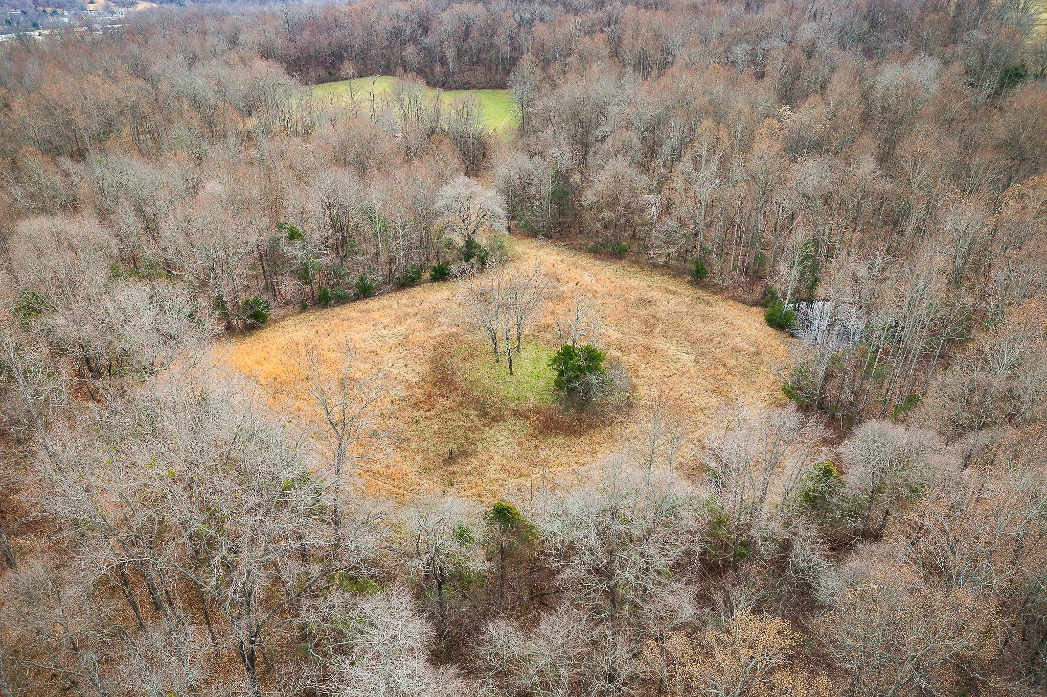 4898 Forrest Hill Road Cookeville TN 38506
