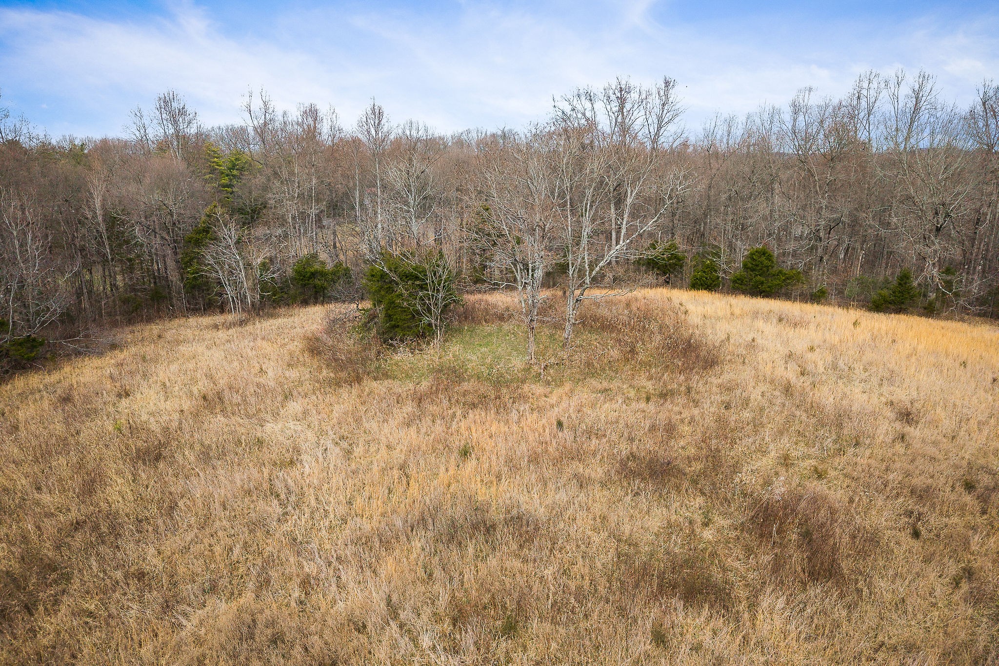 4898 Forrest Hill Road Cookeville TN 38506