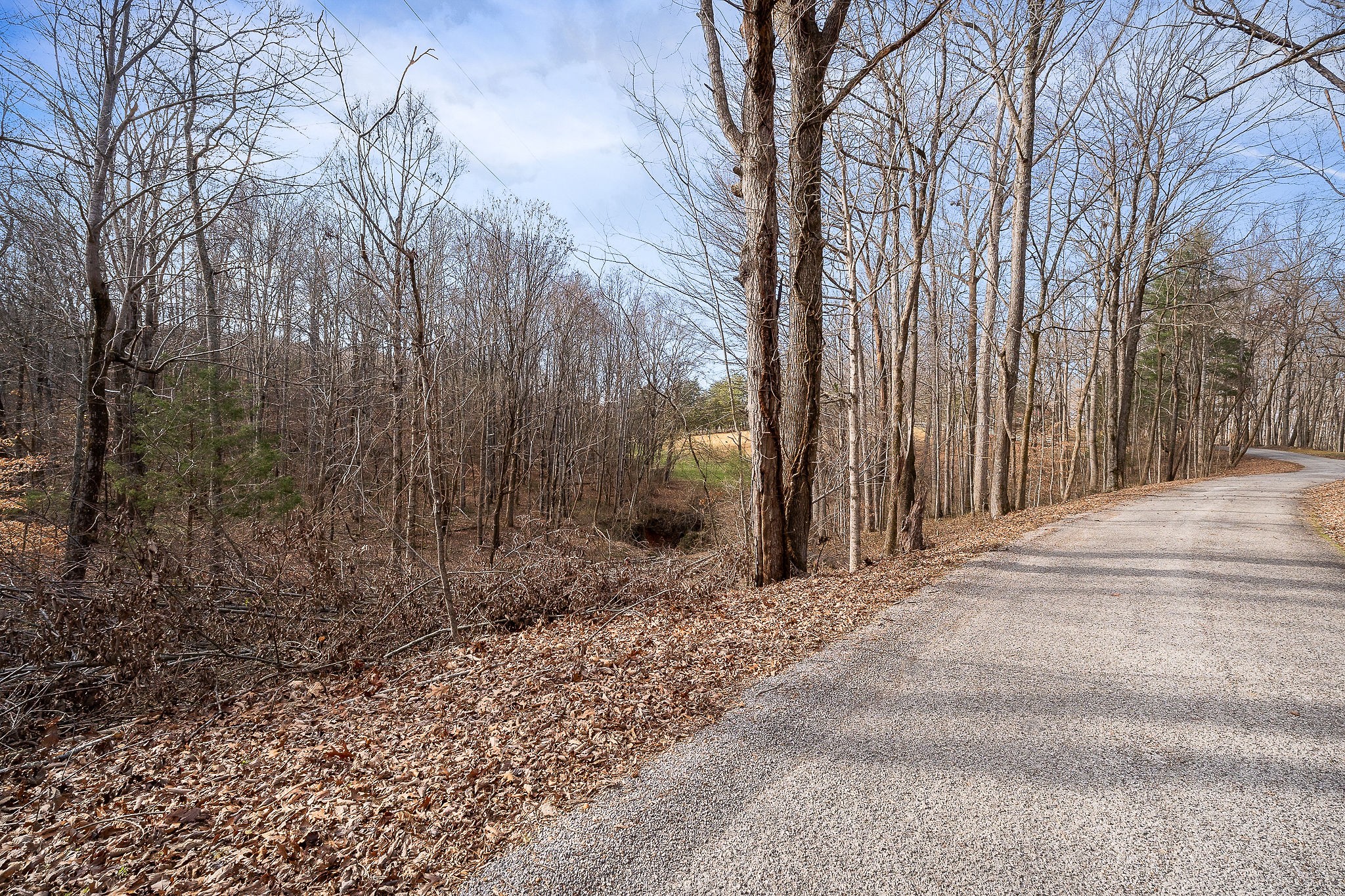 4898 Forrest Hill Road Cookeville TN 38506