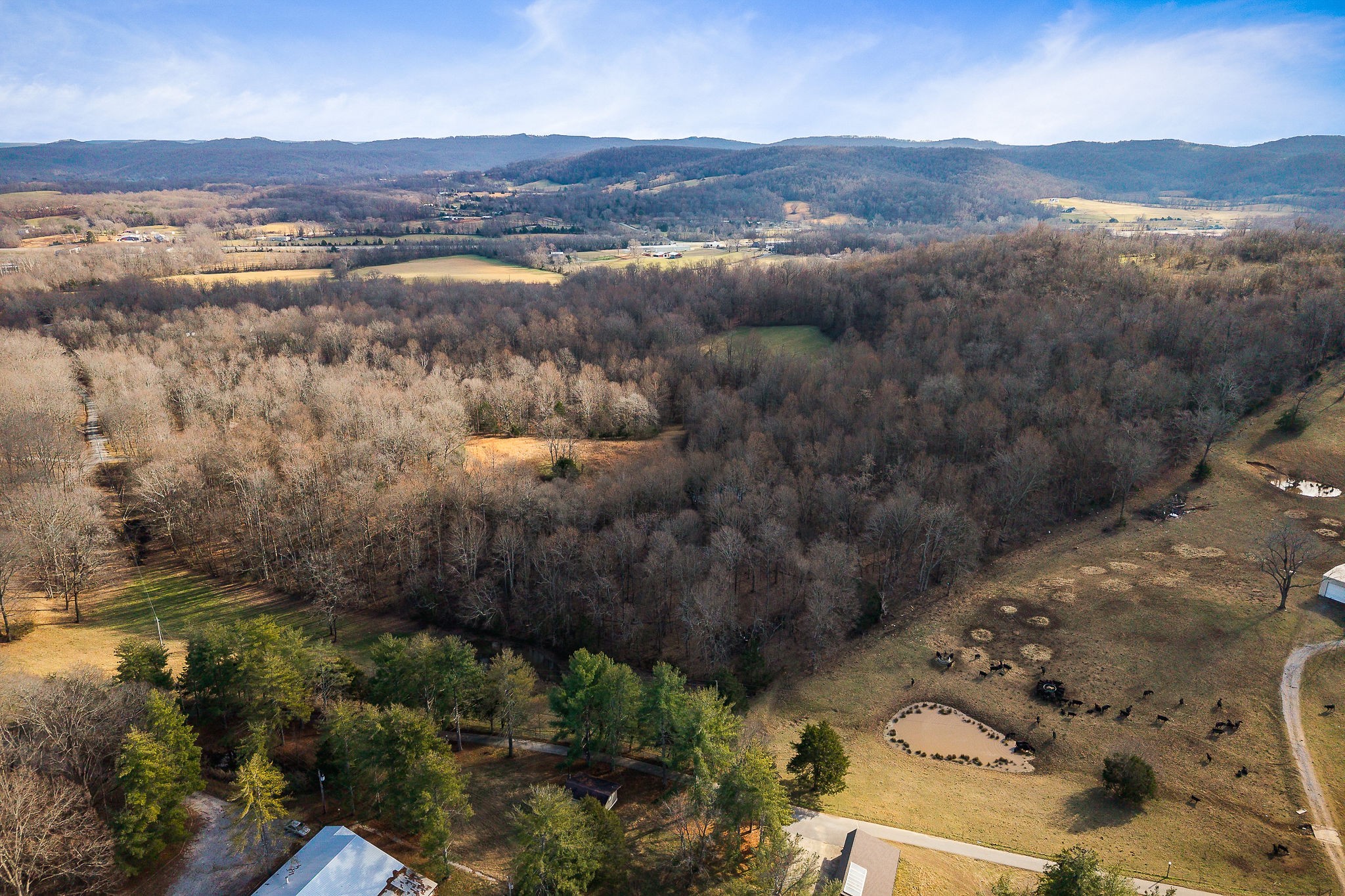 4898 Forrest Hill Road Cookeville TN 38506