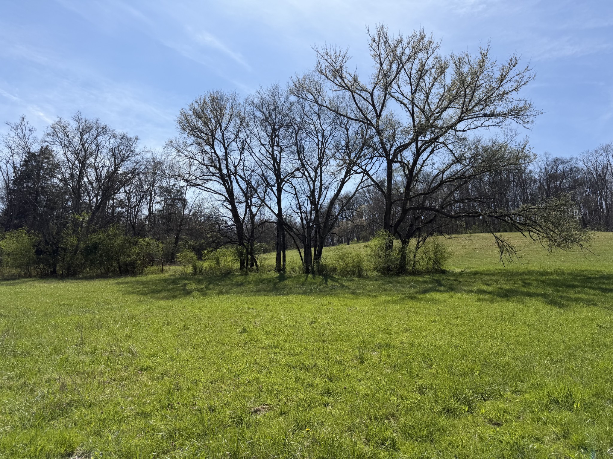 23 Fly Road Santa Fe TN 38482