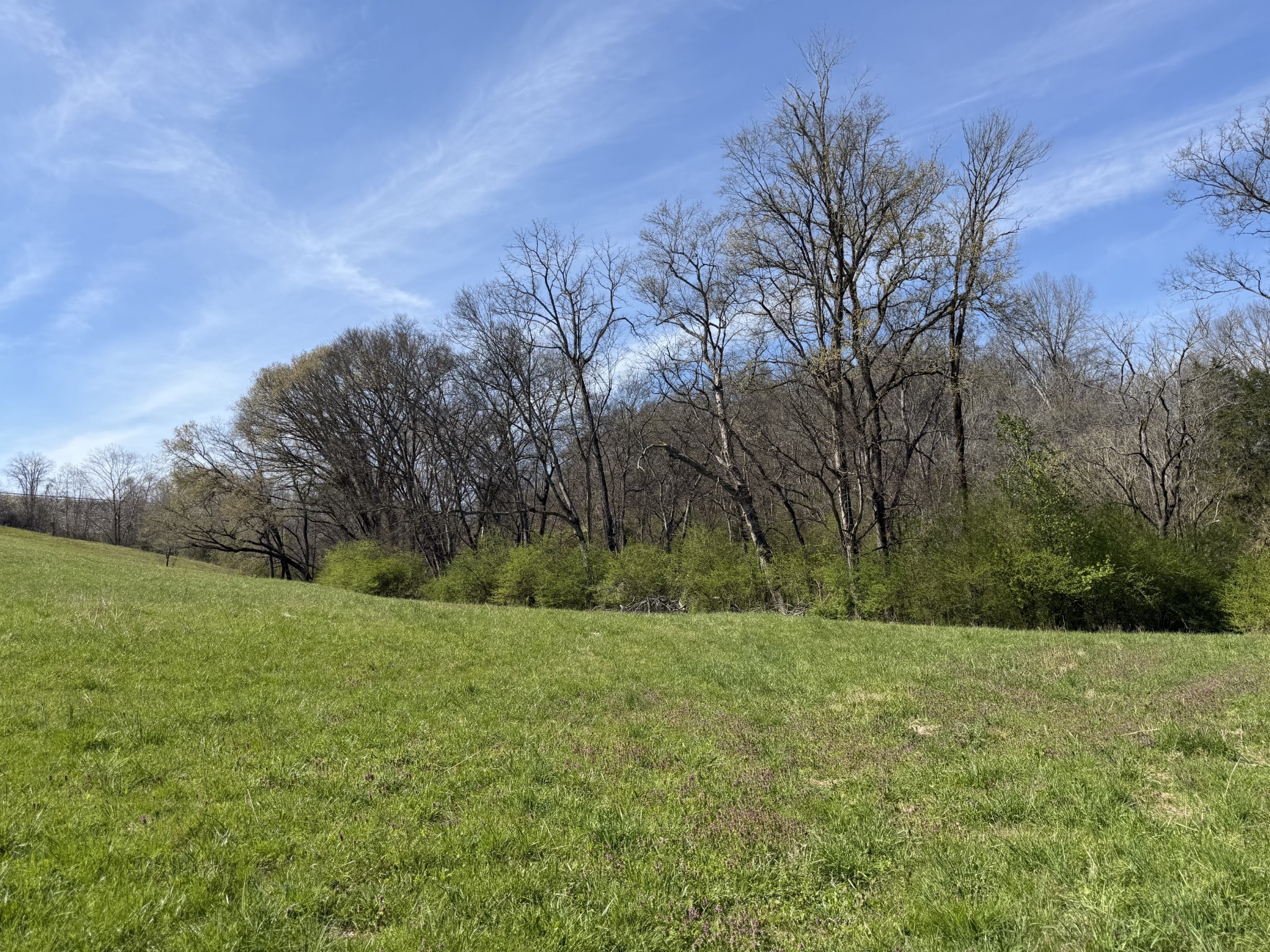 23 Fly Road Santa Fe TN 38482