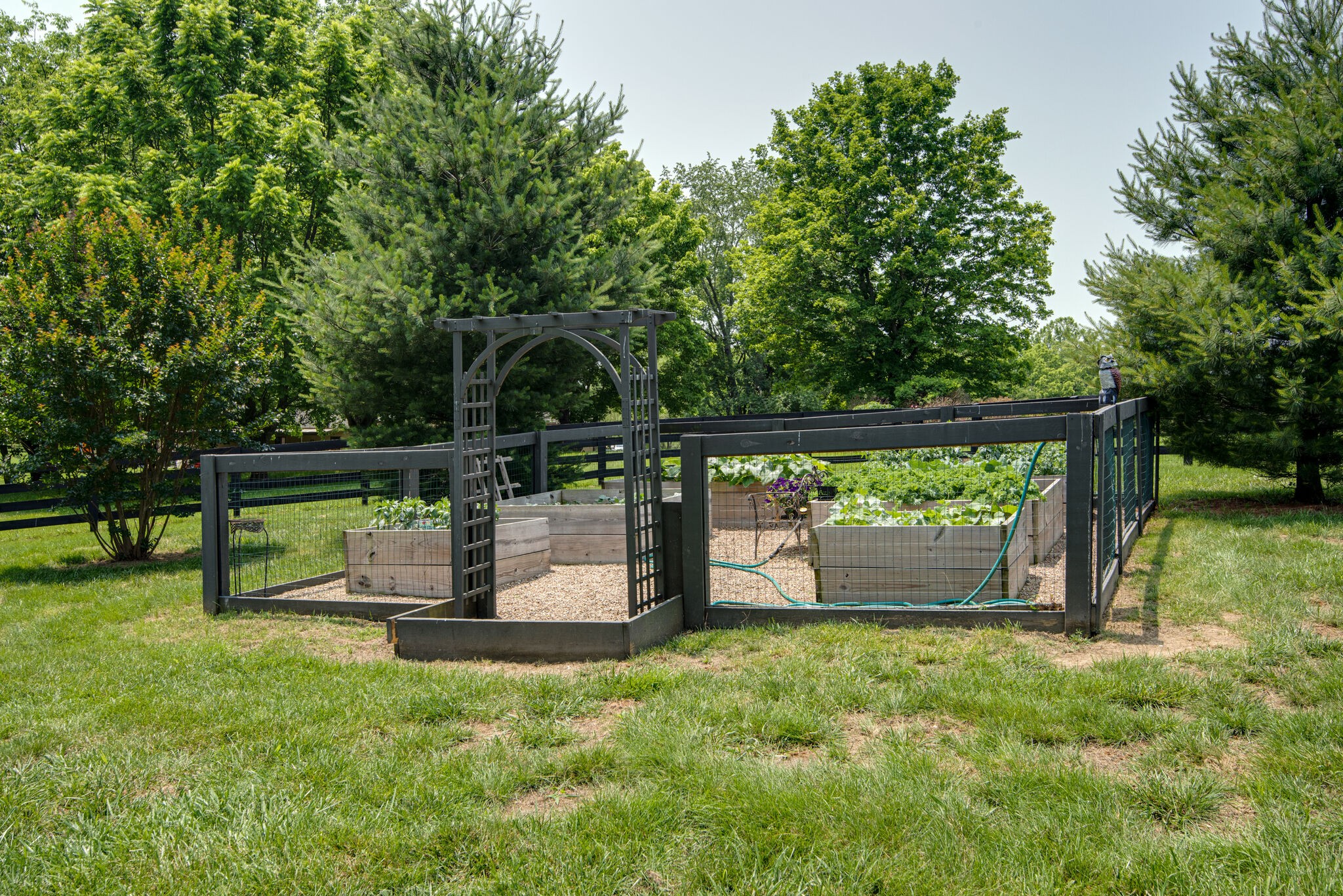 6605 Goshawk Court Arrington TN 37014