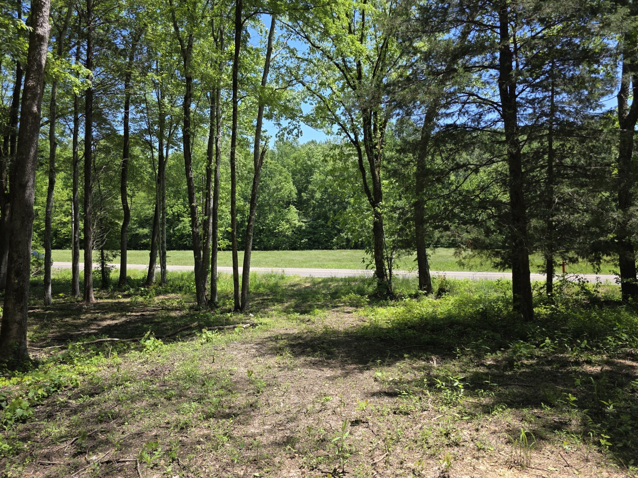 0 Birdsong Road Holladay TN 38341