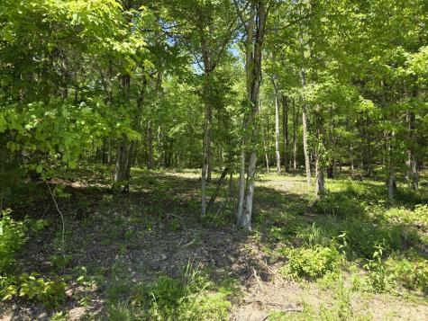 0 Birdsong Road Holladay TN 38341