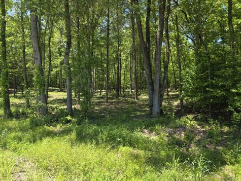 0 Birdsong Road Holladay TN 38341