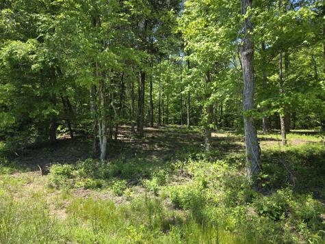 0 Birdsong Road Holladay TN 38341