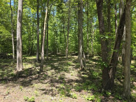 0 Birdsong Road Holladay TN 38341