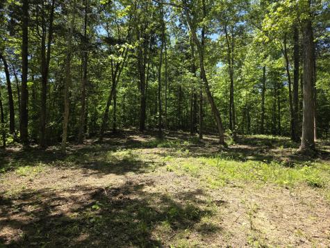 0 Birdsong Road Holladay TN 38341