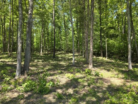 0 Birdsong Road Holladay TN 38341