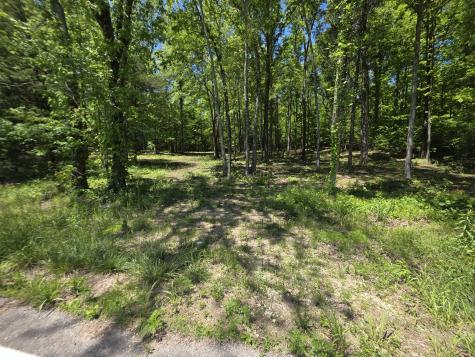 0 Birdsong Road Holladay TN 38341