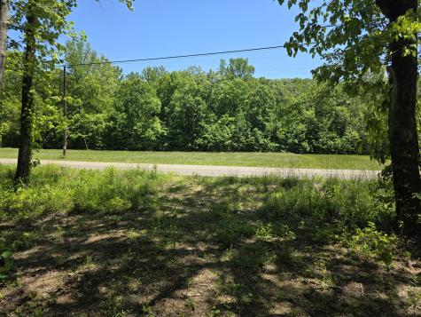 0 Birdsong Road Holladay TN 38341