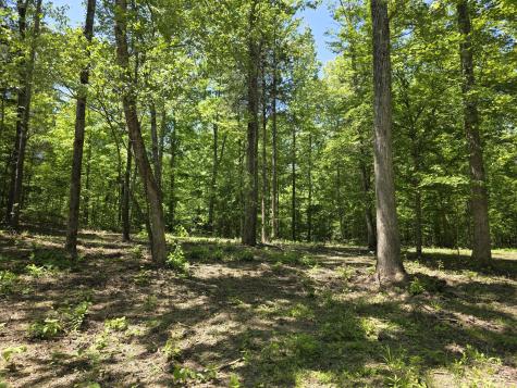 0 Birdsong Road Holladay TN 38341