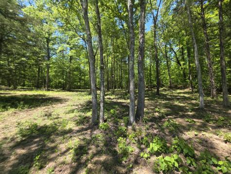 0 Birdsong Road Holladay TN 38341