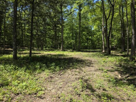 0 Birdsong Road Holladay TN 38341