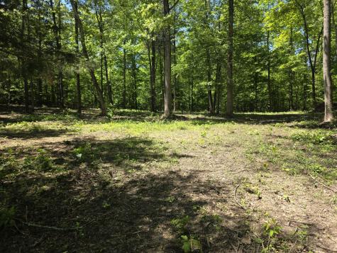 0 Birdsong Road Holladay TN 38341