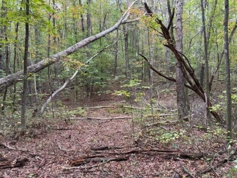 4 Tipple Road Tracy City TN 37387