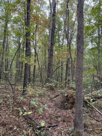 4 Tipple Road Tracy City TN 37387