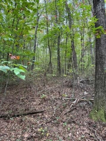 4 Tipple Road Tracy City TN 37387