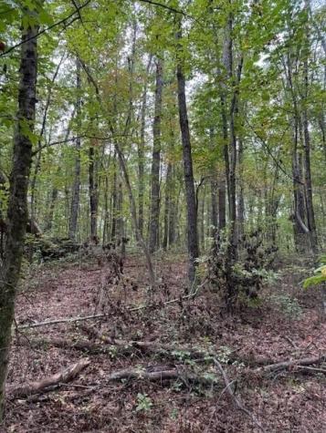 4 Tipple Road Tracy City TN 37387