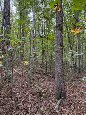 4 Tipple Road Tracy City TN 37387