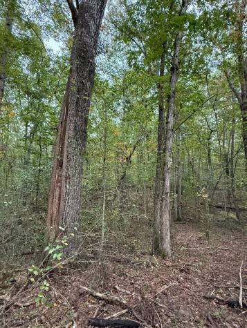 4 Tipple Road Tracy City TN 37387