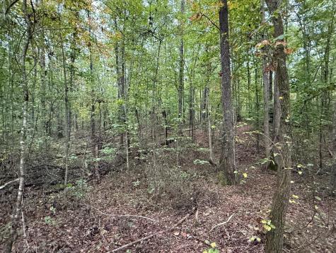 4 Tipple Road Tracy City TN 37387