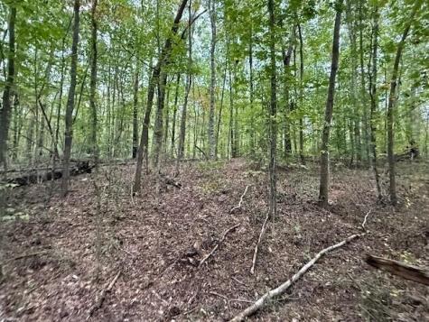 4 Tipple Road Tracy City TN 37387