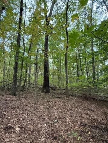 4 Tipple Road Tracy City TN 37387