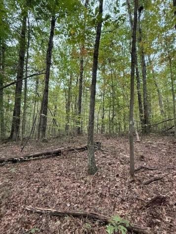 4 Tipple Road Tracy City TN 37387