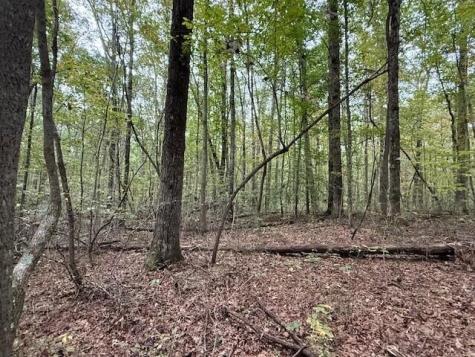 4 Tipple Road Tracy City TN 37387