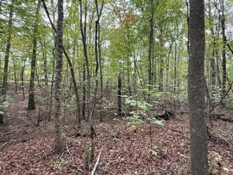 4 Tipple Road Tracy City TN 37387