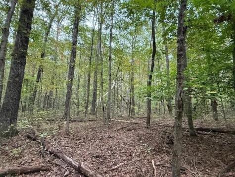 4 Tipple Road Tracy City TN 37387