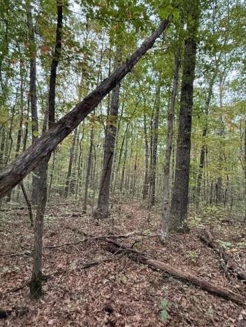 4 Tipple Road Tracy City TN 37387