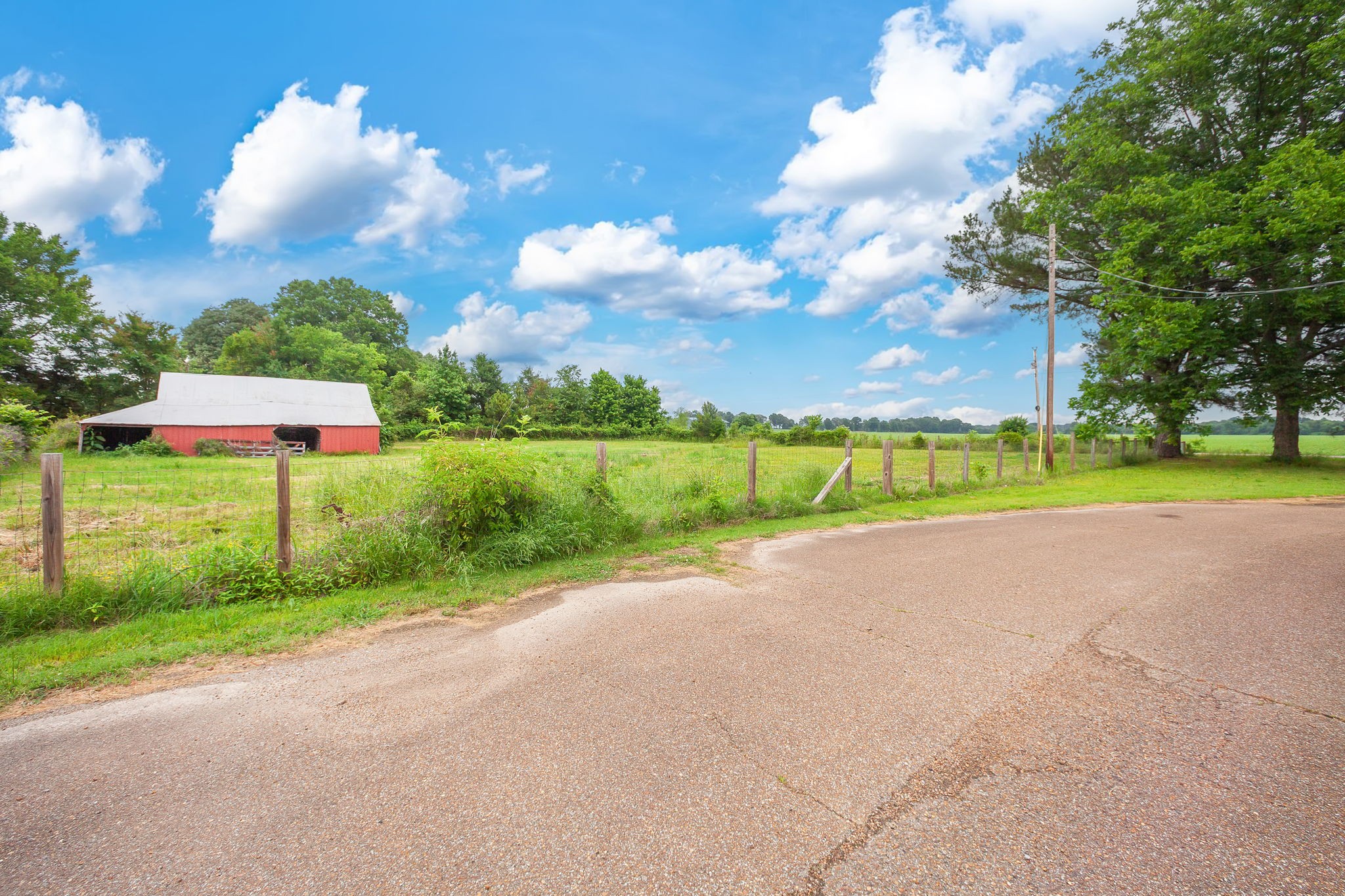 1921 Nance Road Alamo TN 38001