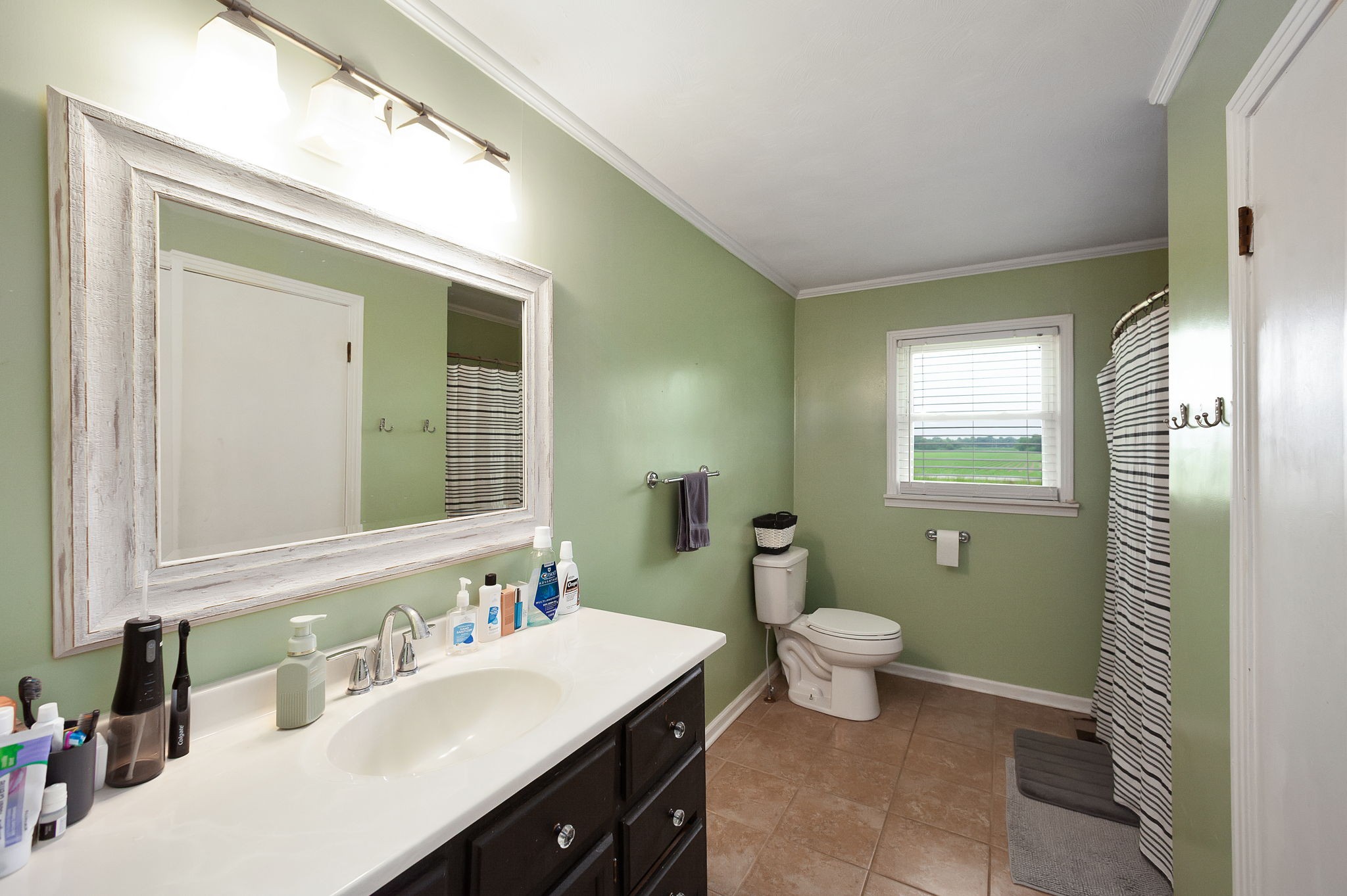 1921 Nance Road Alamo TN 38001