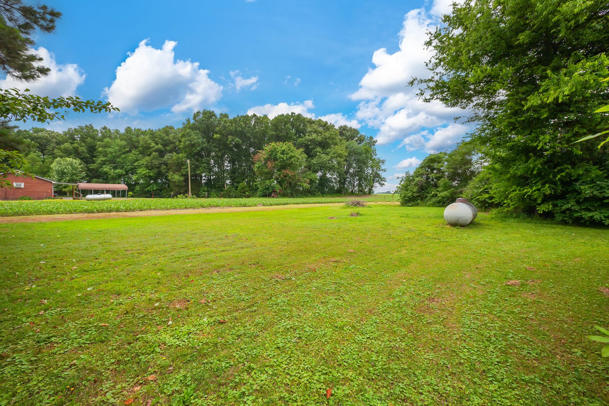 1921 Nance Road Alamo TN 38001