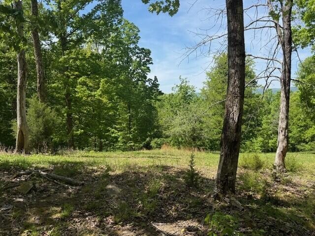0 Pitts Gap Mountain Road Pikeville TN 37367