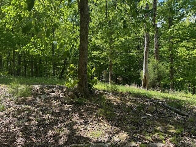 0 Pitts Gap Mountain Road Pikeville TN 37367