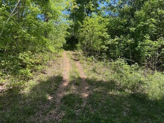 0 Pitts Gap Mountain Road Pikeville TN 37367